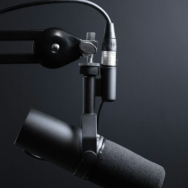 Broadcast Dynamic Microphone